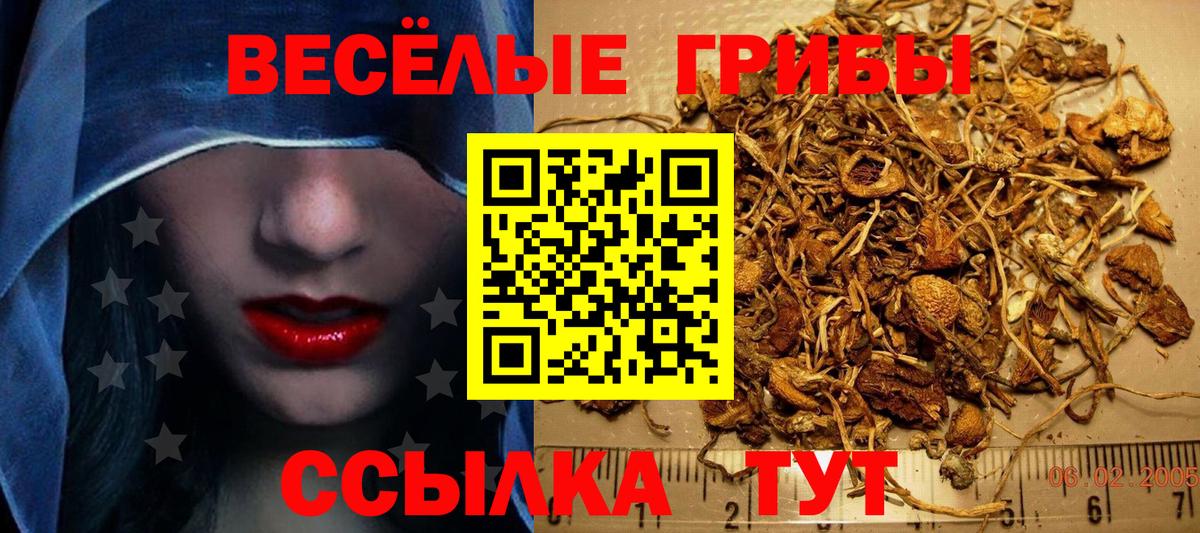 Галлюциногенные грибы Magic Shrooms Ленинск-Кузнецкий