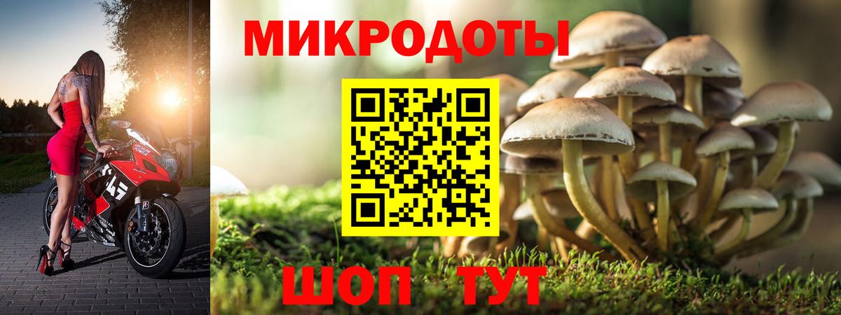 Ленинск-Кузнецкий  Галлюциногенные грибы Psilocybe  Вход с VPN 